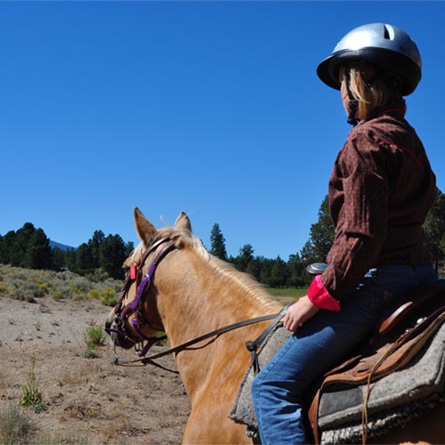 Horseback riding recreation